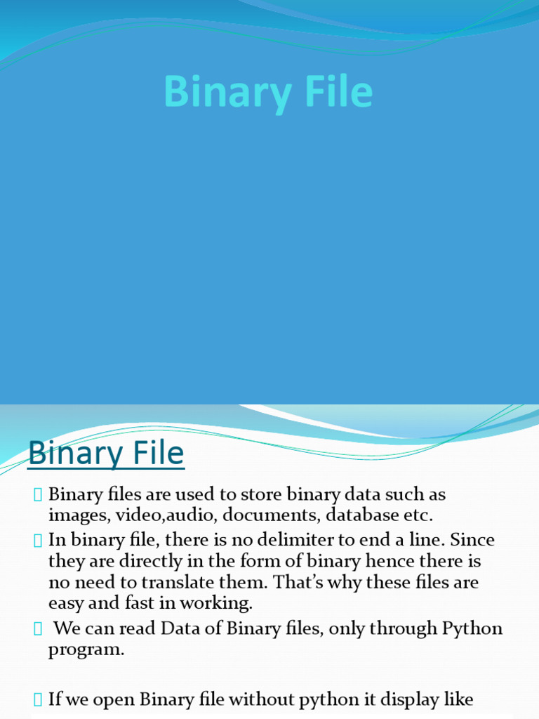 File Handling Binary File | PDF | Computer File | Pointer (Computer ...