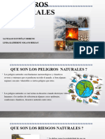 Peligros Naturales y Peligros de Seguridad