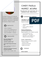 Curriculum Vitae Profesional Mujer Con Iconos Moderno Beige y Blanco