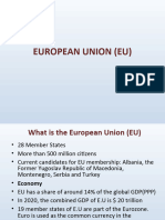 European Union History and Working