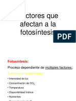 6.unidad III-Factores Q Afectan A Fotosintesis