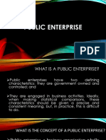 Public Enterprise LESSON 1