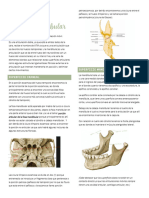 Tipeo ATM Anatomia