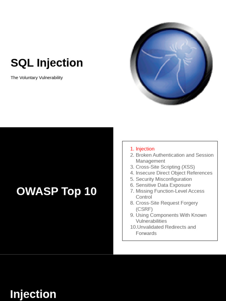 SQL Injection | PDF | Computing | Computer Programming