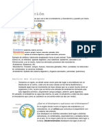 Desarrollo Embrionario II Gastrulación