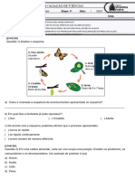 Prova 4° Etapa 4° Ano