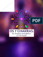 Aula 1 - Introdução Aos 7 Chakras