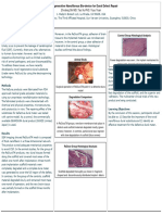 Novel Regenerative Nanofibrous Bio-Device For Dural Defect Repair