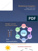 Metabolismo Energético y Consumo de Oxígeno