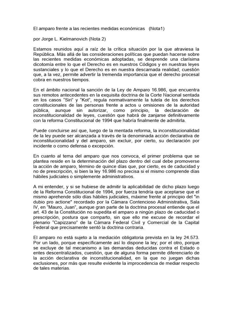6 7 07 el amparo frente a las recientes medidas econ micas pdf