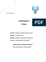 Entregable 1 Analisis de Puestos