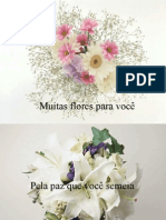 FloresParaVc