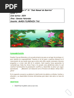 Secuencia Didáctica: Las Plantas 1° Grado | PDF | Tallo de la planta | Hoja