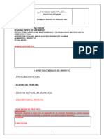 A06 FORMATO PROYECTO PRODUCTIVO (4) (3)