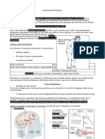 Antiparkinsonianos