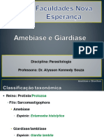 Amebíase e Giardíase