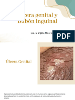 Úlcera Genital y Bubones