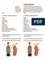 La Insuficiencia Suprarrenal-Endocrino