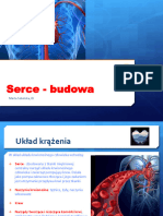 serce-budowa