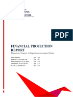 Financial Projection Report v.2