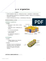 Citoplasma e Organelas