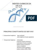 Componentes Químicos Da Célula