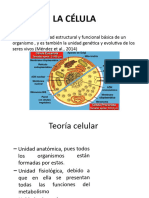 Morfología Celular Tema 1 OD2024