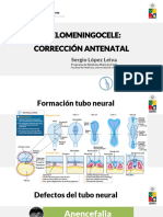 Mielomeningocele - Reparacion Antenatal Sergio Lopez Leiva - Archivo