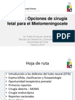 Opciones de Cirugia Fetal para El Mielomeningocele DR Pablo Enriquez Jimenez - Archivo