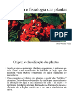 Slide Anatomia e fisiologia das plantas 1° Ano