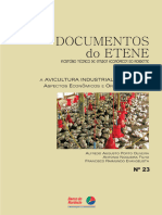 Livro PDF