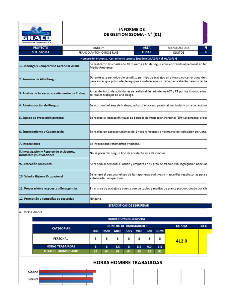 Informe de Seguridad y Salud Ocupacional | PDF | Higiene Ocupacional ...