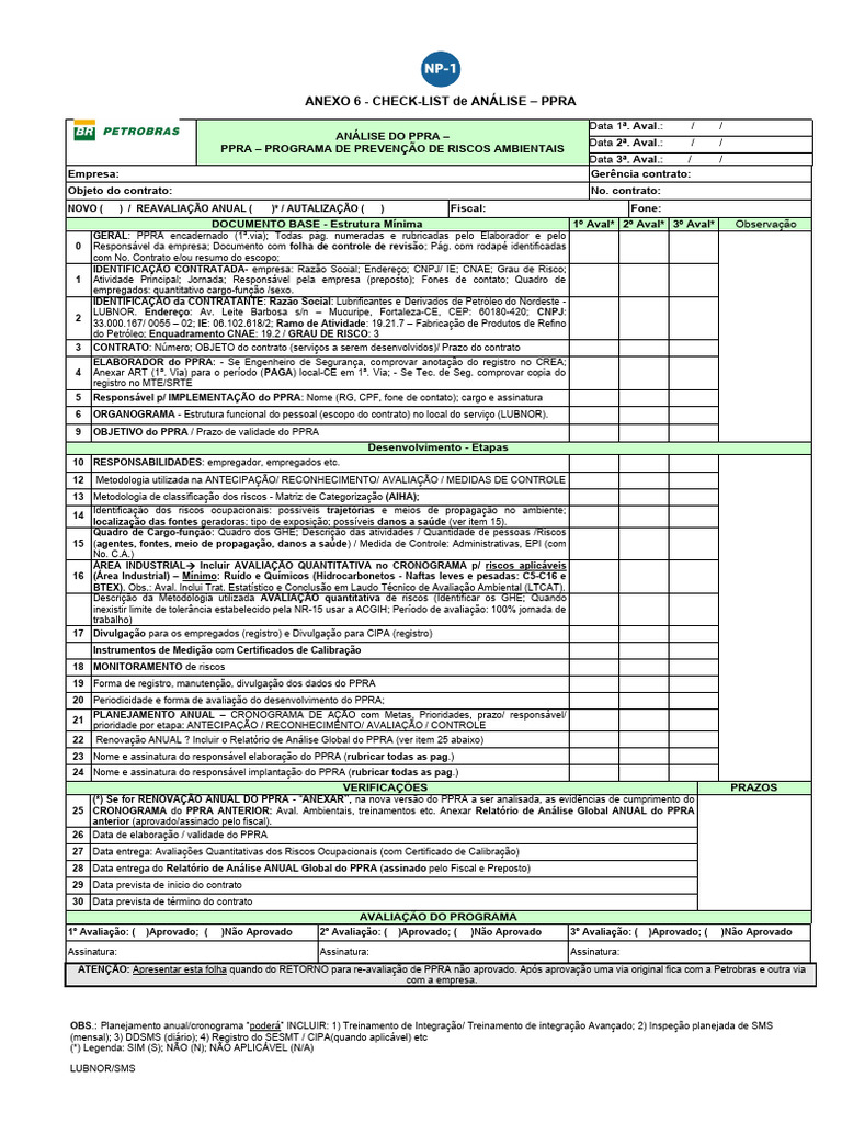 Análise do PPRA: Check-list e Avaliação | PDF