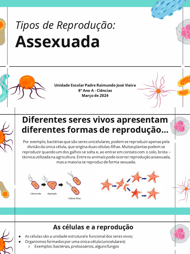 Reprodução Assexuada | PDF | Reprodução | Bactérias