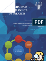 Universidad Tecnológica de México