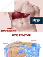 Biochemical Functions of Liver