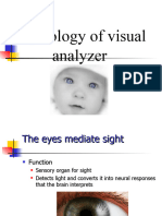 27 Physiology of Visual Analyzer