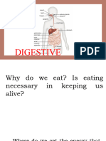 Digestive System