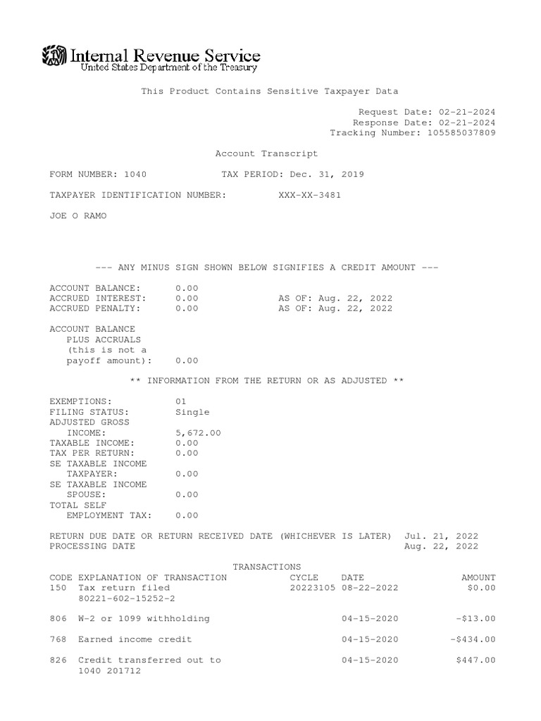 2022 Tax Transcript Summary | PDF