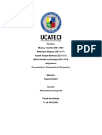 Formulacion y Evaluacion de Proyectos - Trabajo Grupal Final