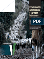Estudio Sobre La Oestrosis Ovina y Caprina en Extremadura: Sanidad y Producción Animal