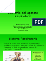 Anatomía Del Aparato Respiratorio