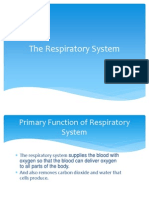 Respiratory and Excretory System