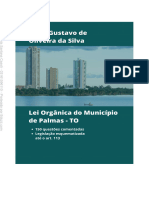 Copia de Novo Lei Organica Municipio de Palmas 2 1