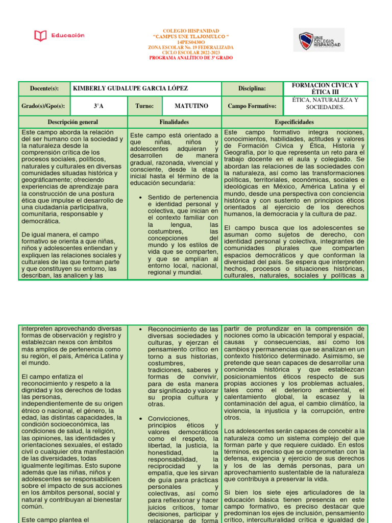 Programa Analitico Force III | PDF