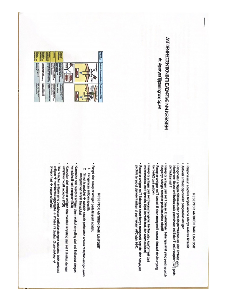 Antigen Recognition in The Adaptive Immune System | PDF