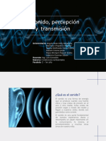 Tema 13, El sonido, percepción y  transmisión, diapositivas