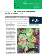 Control of The Main Foliar Diseases of Container-Grown Roses