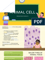ANIMAL-CELL group 2