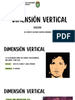 Dimension Vertical